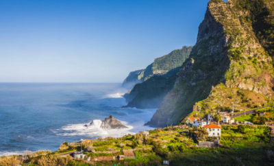 Exploring Madeira’s Unique Flora and Fauna: A Nature Lover’s Guide