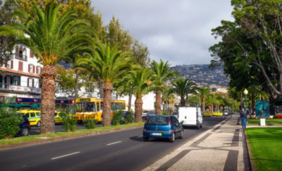 Navigating Madeira: Renting a Car vs. Public Transport